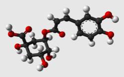 chlorogenicacid.jpg