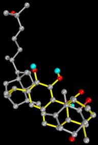 Carnosic acid docking into the Vitamin D Receptor