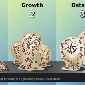 cbe-03_bfin3steps.jpg