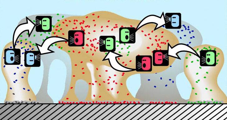 Quorum sensing