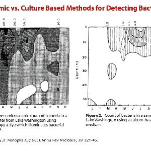 genomicculture.001.gif