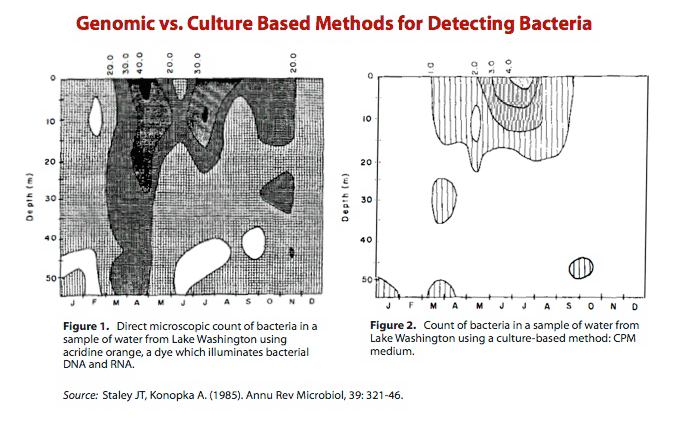 genomicculture.001.gif